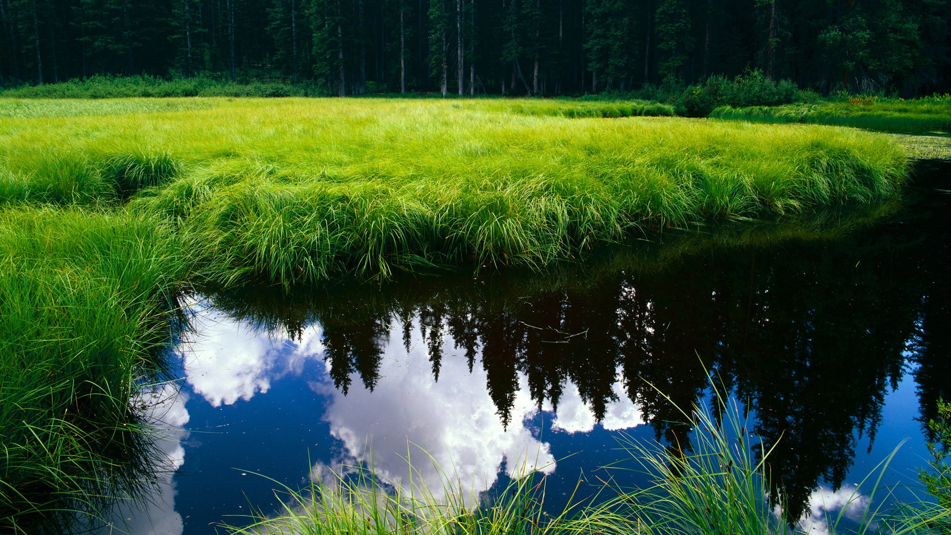 爱游戏娱乐-NBA与足球PK：你知道哪些有趣的跨界合作？，nba球星和足球球星对比