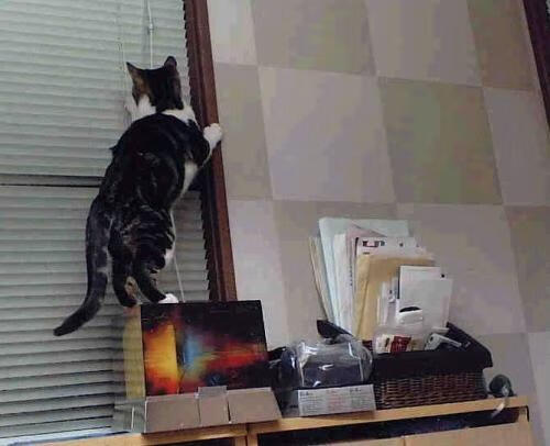 爱游戏体育app-WRC装备升级：最新技术带来的速度变革，wrc1